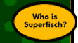 Who Is Superfisch?